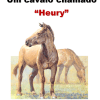 Um cavalo chamado&nbsp;“Heury”