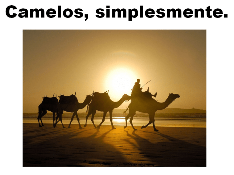 Camelos